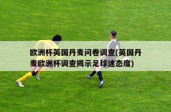 欧洲杯英国丹麦问卷调查(英国丹麦欧洲杯调查揭示足球迷态度)